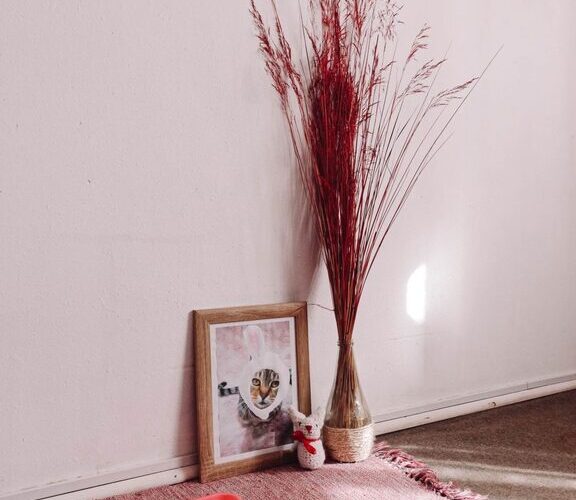 Post: How to set up a pet-friendly home corner